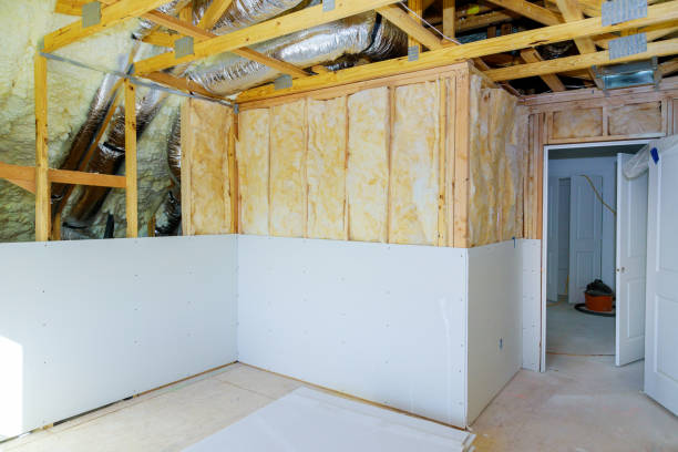 Best Eco-Friendly Insulation in Osceola, WI