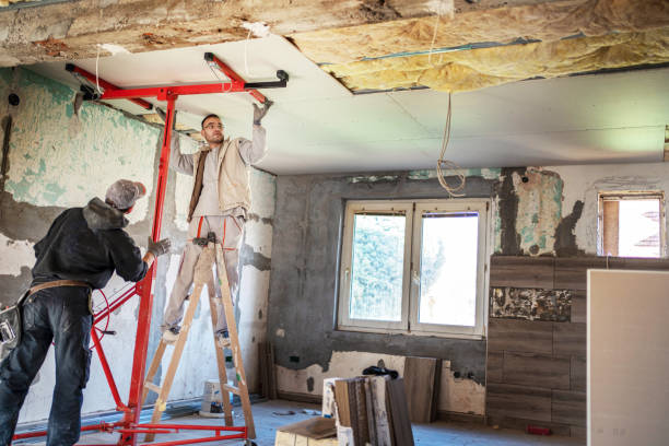 Best Cellulose Insulation in Osceola, WI