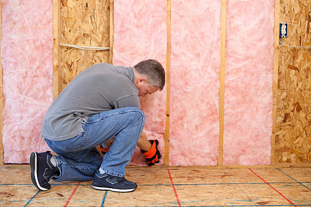Best Fiberglass Insulation in Osceola, WI