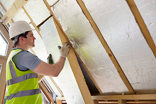 Best Residential Insulation in Osceola, WI